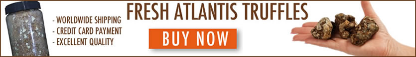 buy Atlantis truffles